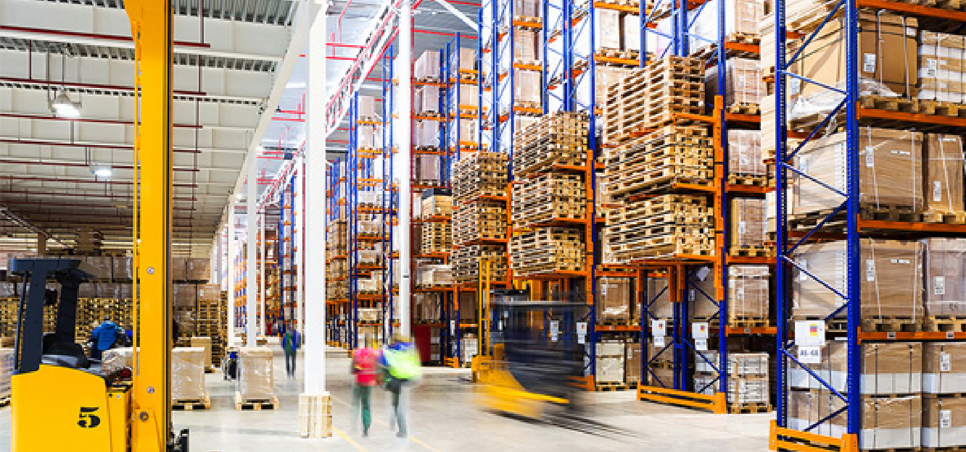 Cultivating Compliance: Guidelines for Warehouse Approval in Dubai